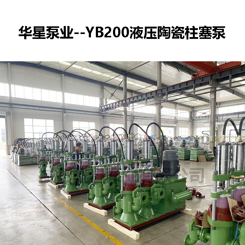 ybh200-19污泥壓濾機專用柱塞泵