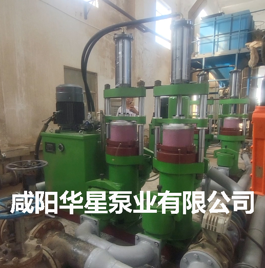市政污水處理廠柱塞泵替換螺桿泵-03